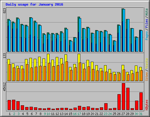 Daily usage for January 2016