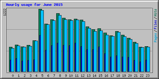 Hourly usage for June 2015