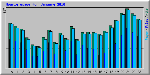 Hourly usage for January 2016