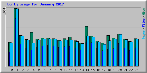 Hourly usage for January 2017